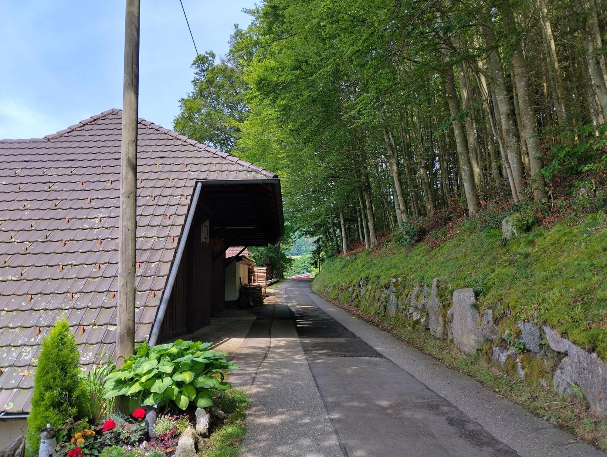Haus "Guck - Ins - Tal" Apartment Sasbachwalden Exterior photo