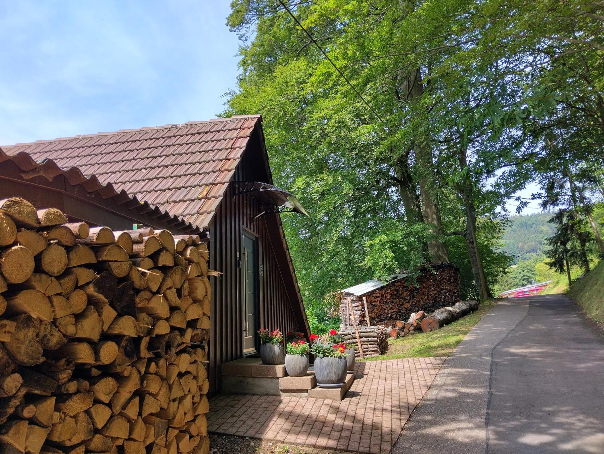 Haus "Guck - Ins - Tal" Apartment Sasbachwalden Exterior photo